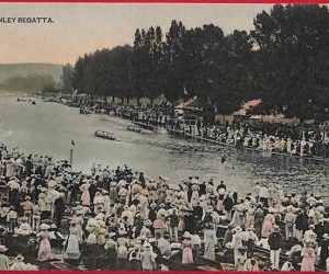 ai0165 -  GREAT BRITAIN - VINTAGE POSTCARD - Henley Regatta
