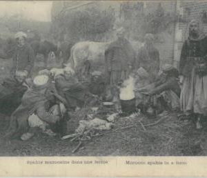 80268 -   Maroc MOROCCO  - VINTAGE POSTCARD -   Ethnic SAPHIS  1914
