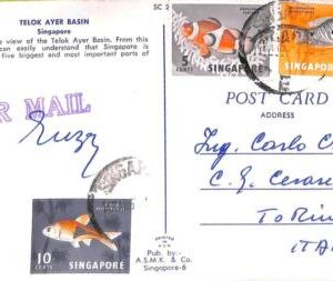 ac6679 - SINGAPORE  - Postal History - Airmail POSTCARD  to ITALY 1963 - FISH