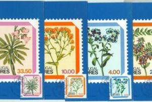 67468 -  ACORES - Postal History -  set of 4 Maximum CARD 1982  -  FLOWERS
