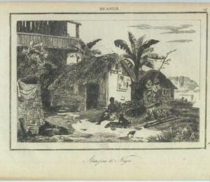 84935 - BRAZIL - VINTAGE Italian Engraving 1800's