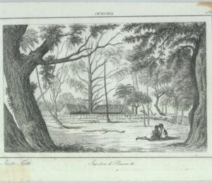 84926 - POLYNESIA - VINTAGE Italian Engraving 1800's -  TAHITI