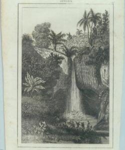 84943  - INDONESIA - VINTAGE Italian Engraving - 1800's  SULAWESI