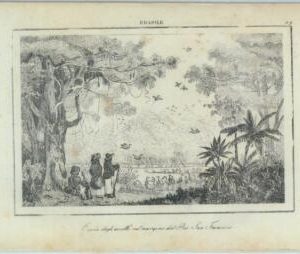 84933 - BRAZIL - VINTAGE Italian Engraving 1800's