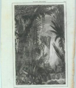 84923 - NEW GUINEA (New Ireland!) - VINTAGE Italian Engraving 1800's