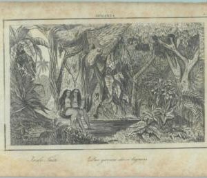 84928 - POLYNESIA - VINTAGE Italian Engraving 1800's -  TAHITI
