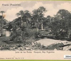 38949 - ARGENTINA - VINTAGE POSTCARD - Neuquen