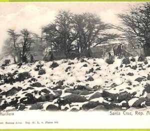 38960 - ARGENTINA - VINTAGE POSTCARD -  Santa Cruz