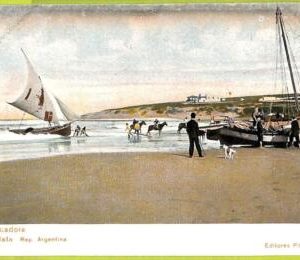 38995 - ARGENTINA - VINTAGE POSTCARD - Mar del Plata