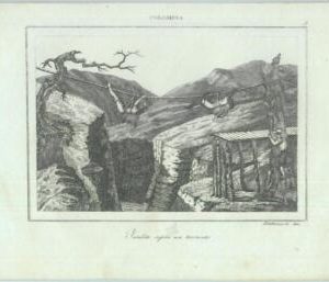 84950  - COLOMBIA - VINTAGE Italian Engraving 1800's