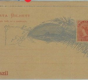 89600 - BRAZIL - Postal History -  Picture POSTAL STATIONERY LETTER CARD 1891