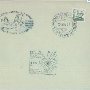 86578 - BRAZIL - Postal History - SPECIAL postmark on COVER 1971 flowers ORCHIDS