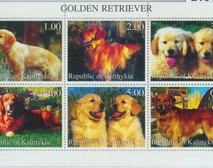 M2161 - RUSSIAN STATE, MINIATURE SHEET: Dogs, Golden Retrievers