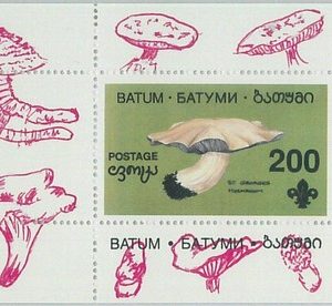 M2199- RUSSIAN STATE, SOUVENIR SHEET: Mushrooms - Boy Scouts