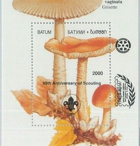 M2217- RUSSIAN STATE, SOUVENIR SHEET: Mushrooms, Boy Scouts