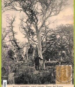 38939 - ARGENTINA - VINTAGE POSTCARD - Tierra del Fuego
