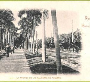 af0258 - ARGENTINA - VINTAGE POSTCARD - Buenos Aires - 1901
