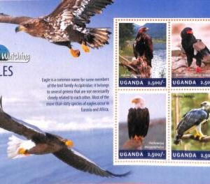 A7231 - UGANDA, Error, 2014, MISPERF MINIATURE SHEET: Eagles, Bird Watching