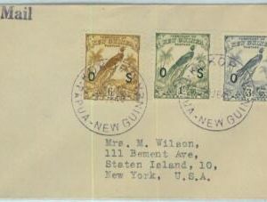 BK0364 - PAPUA NEW GUINEA - Postal History -  COVER from KOKORO  1948 - BIRDS