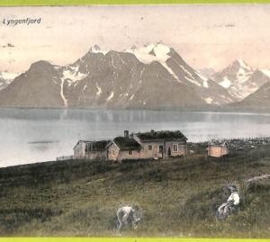 ad1863 - NORWAY - VINTAGE POSTCARD - Lyngenfjord - 1909
