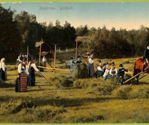 ad1777 - NORWAY - VINTAGE POSTCARD - Rattvik - 1913