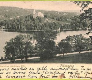ad1778 - NORWAY - VINTAGE POSTCARD - Fjosanger
