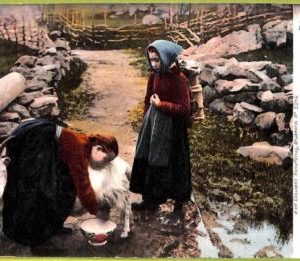 ad1782 - NORWAY - VINTAGE POSTCARD - ETHNIC