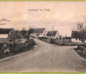 ad1775 - NORWAY - VINTAGE POSTCARD - Gadeparti fra Dame