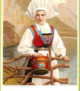 ad1758 - NORWAY - VINTAGE POSTCARD - Ethnic