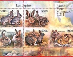 A3828 - Comoros - ERROR MISPERF, Miniature Sheet - 2011, Rabbits, Hares