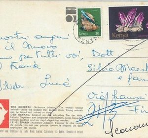 66446 - KENYA  - Postal History -  STAMPS on POSTCARD  1960'S
