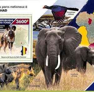 B1080 - TCHAD - ERROR MISPERF Stamp Sheet - 2022 - FAUNA, National park