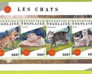 B1090 - TOGO  - ERROR MISPERF Stamp Sheet - 2018 - FAUNA, CATS