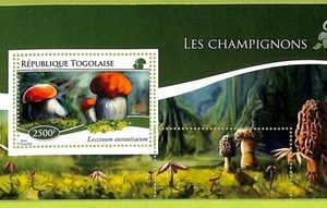 B1188 - TOGO  - ERROR MISPERF Stamp Sheet - 2014 - PLANTS, Mushrooms