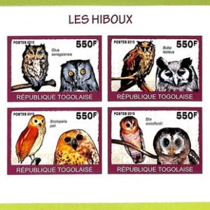 B1096 - TOGO - ERROR IMPERF Stamp Sheet - 2010 - Birds