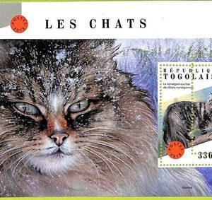 B1091 - TOGO  - ERROR MISPERF Stamp Sheet - 2018 - FAUNA, CATS