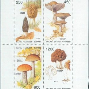 M2220- RUSSIAN STATE, MINIATURE SHEET: Mushrooms