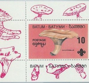M2198 - RUSSIAN STATE, SOUVENIR SHEET: Mushrooms  - Boy Scouts