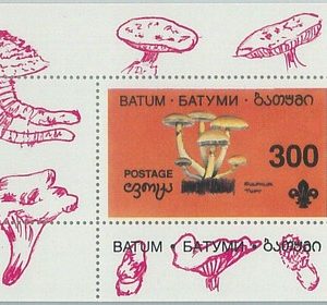 M2200- RUSSIAN STATE, SOUVENIR SHEET: Mushrooms - Boy Scouts