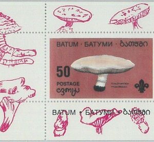 M2201- RUSSIAN STATE, SOUVENIR SHEET: Mushrooms - Boy Scouts