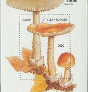 M2219- RUSSIAN STATE, SOUVENIR SHEET: Mushrooms