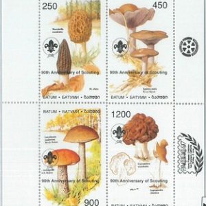 M2218- RUSSIAN STATE, MINIATURE SHEET: Mushrooms, Boy Scouts
