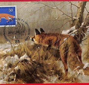 32140 - Germany - Postal History - MAXIMUM CARD  - Animals, FOX - 1967
