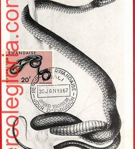 32757 - RWANDA Ruanda - Postal History - MAXIMUM CARD  - Animals, Snakes - 1967