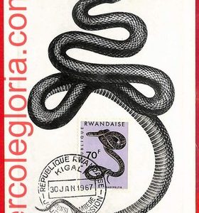 32758 - RWANDA Ruanda  - Postal History - MAXIMUM CARD  - Animals, Snakes - 1967