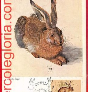 32214 - Hungary - Postal History - MAXIMUM CARD  - FAUNA, RABBITS