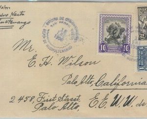 81662 - GUATEMALA  - Postal HIistory - COVER from SAN APEDRO NECTA  to USA 1950