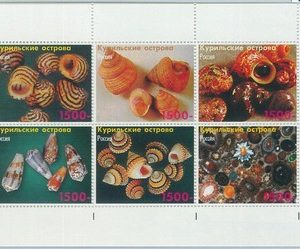 M2249 - RUSSIAN STATE, MINIATURE SHEET: Shells, Marine life