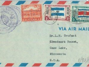 86060 - GUATEMALA - POSTAL HISTORY - OFFICIAL stamps on AIRMAIL  1948   FLAGS