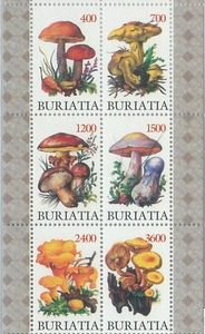 M2211- RUSSIAN STATE, MINIATURE SHEET: Mushrooms